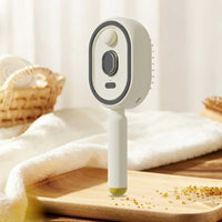 Steam Brush | Rechargeable Detangling Tool with Oil